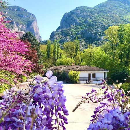 Hotel La Ginestra Акваланга Экстерьер фото